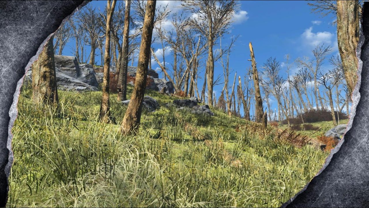 fallout 4 best grass mod for xbox one